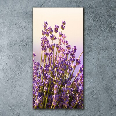 Acrylic print Lavender