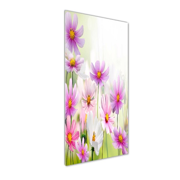 Print on acrylic glass Field flowers