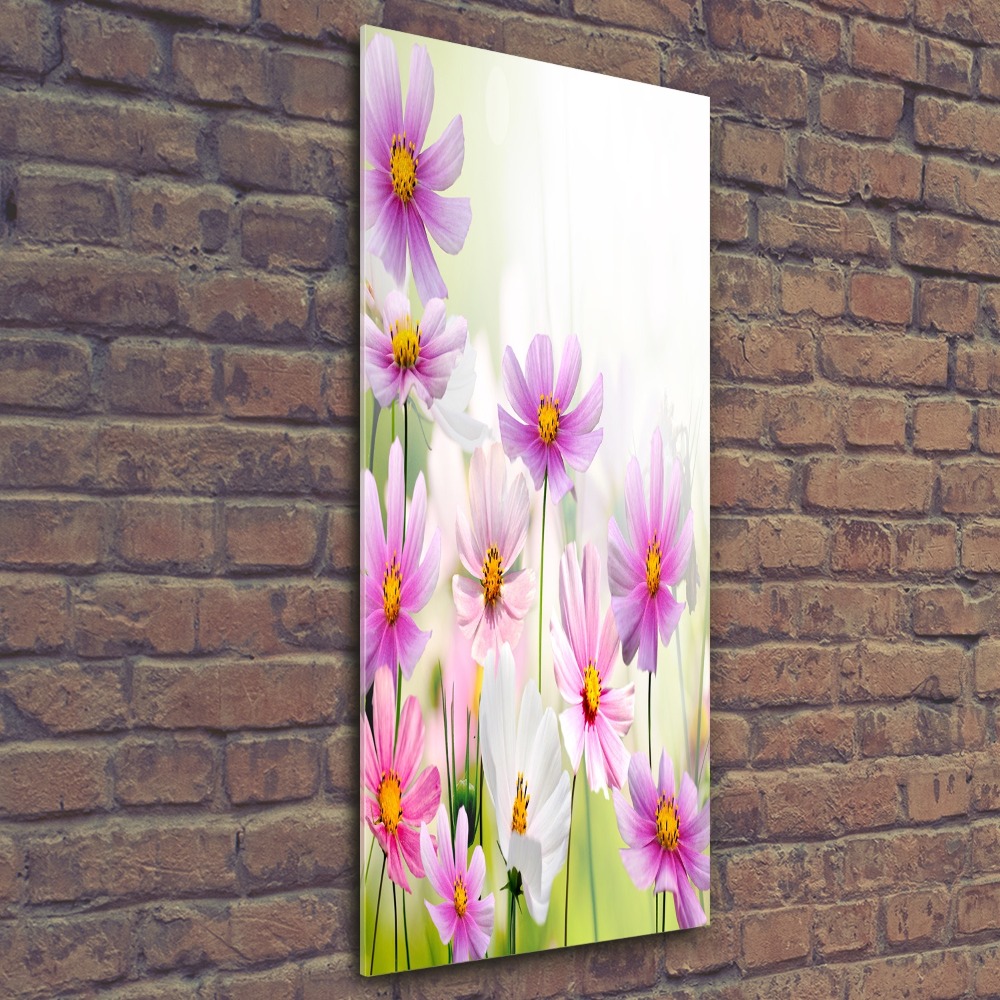 Print on acrylic glass Field flowers