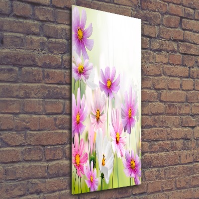 Print on acrylic glass Field flowers