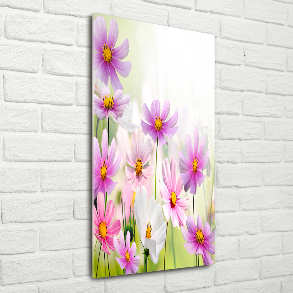 Print on acrylic glass Field flowers