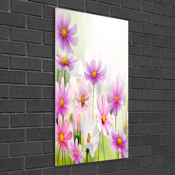 Print on acrylic glass Field flowers