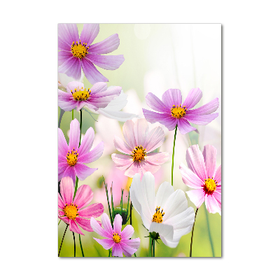 Print on acrylic glass Field flowers