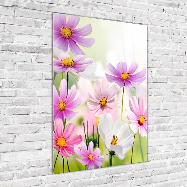 Print on acrylic glass Field flowers