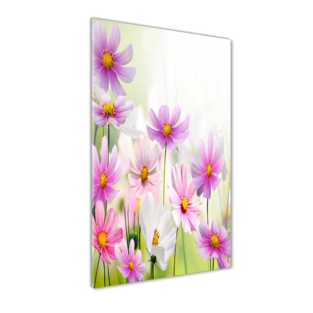 Print on acrylic glass Field flowers