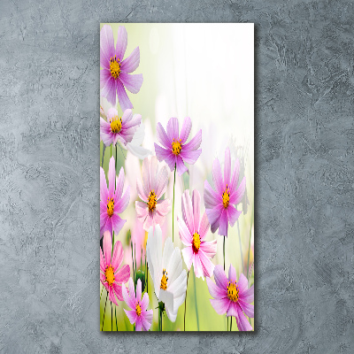 Print on acrylic glass Field flowers