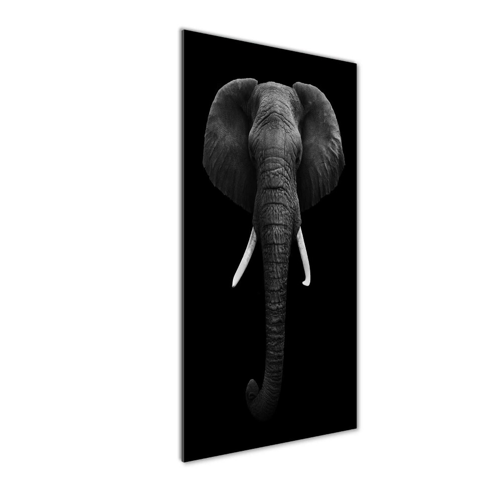 Print on acrylic African elephant