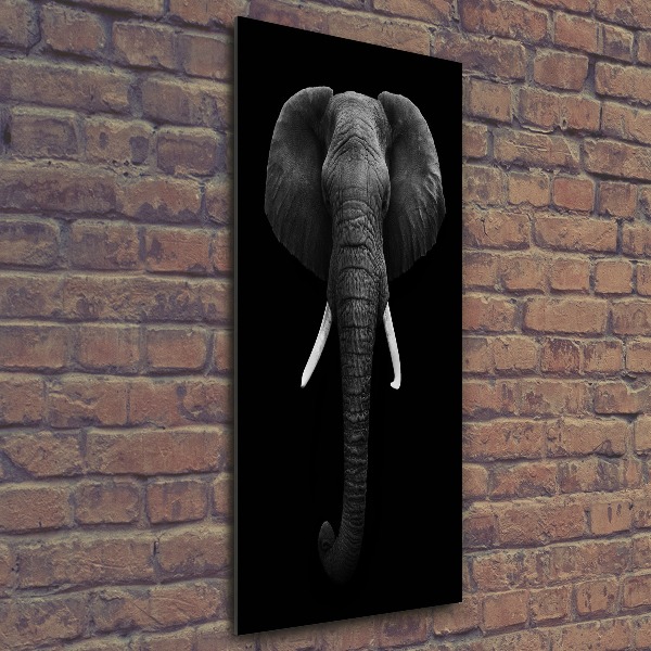 Print on acrylic African elephant