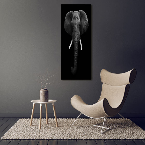 Print on acrylic African elephant