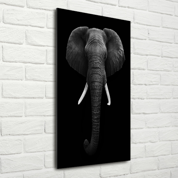 Print on acrylic African elephant