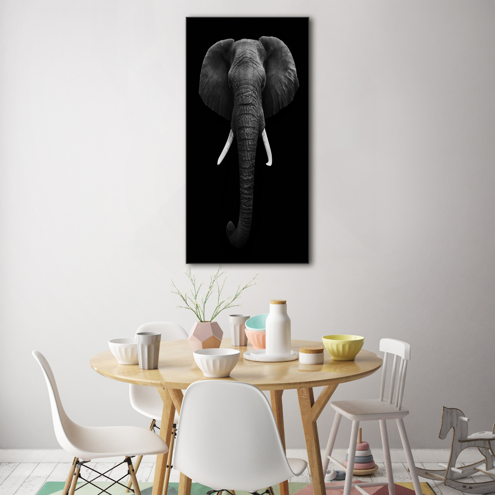 Print on acrylic African elephant