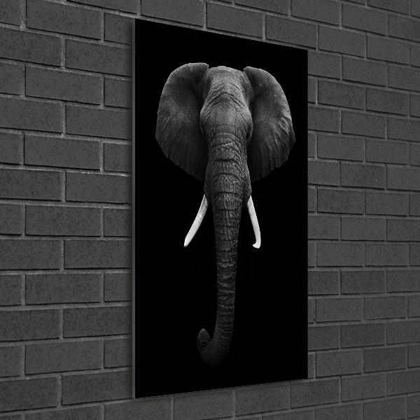 Print on acrylic African elephant