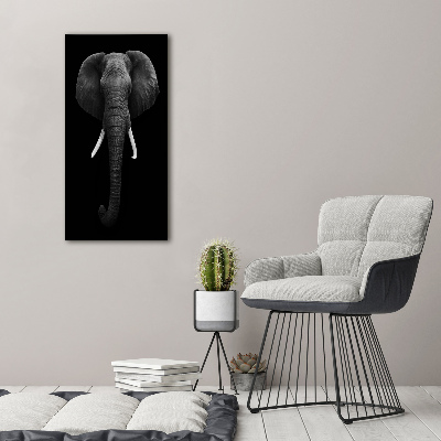 Print on acrylic African elephant