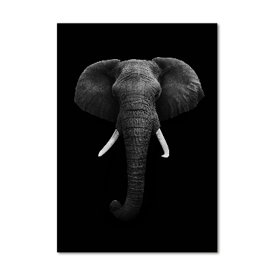 Print on acrylic African elephant