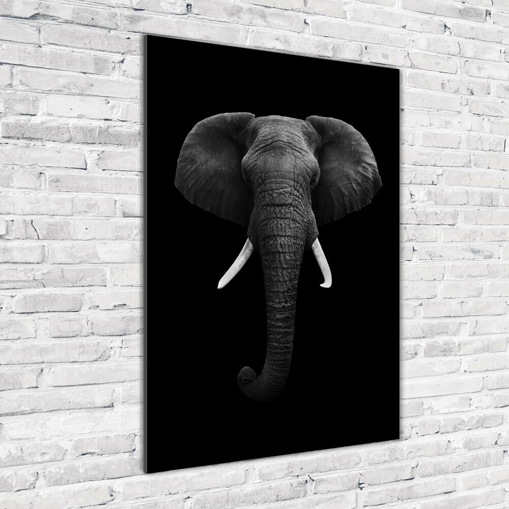 Print on acrylic African elephant