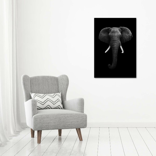 Print on acrylic African elephant