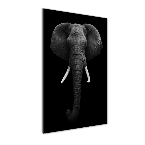 Print on acrylic African elephant