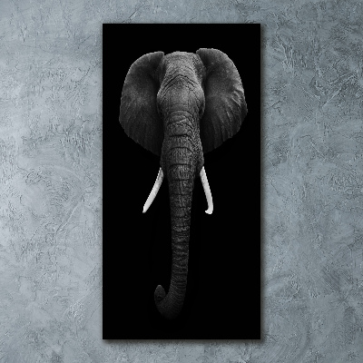 Print on acrylic African elephant