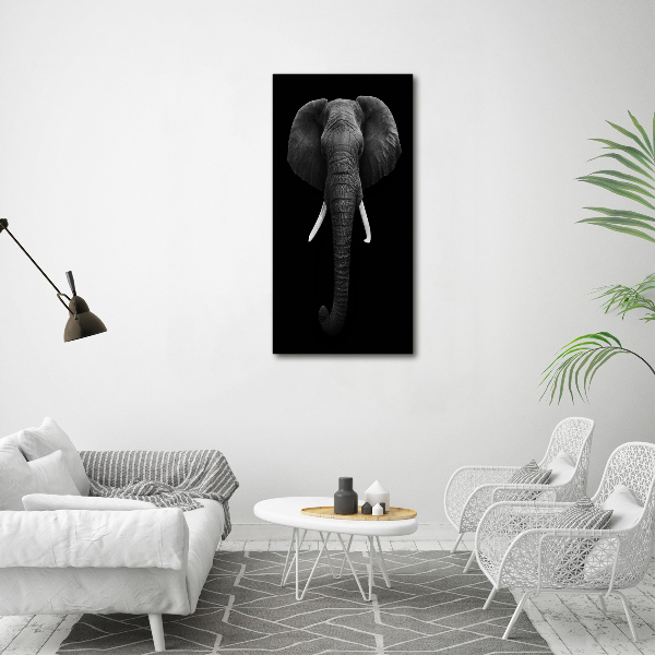 Print on acrylic African elephant