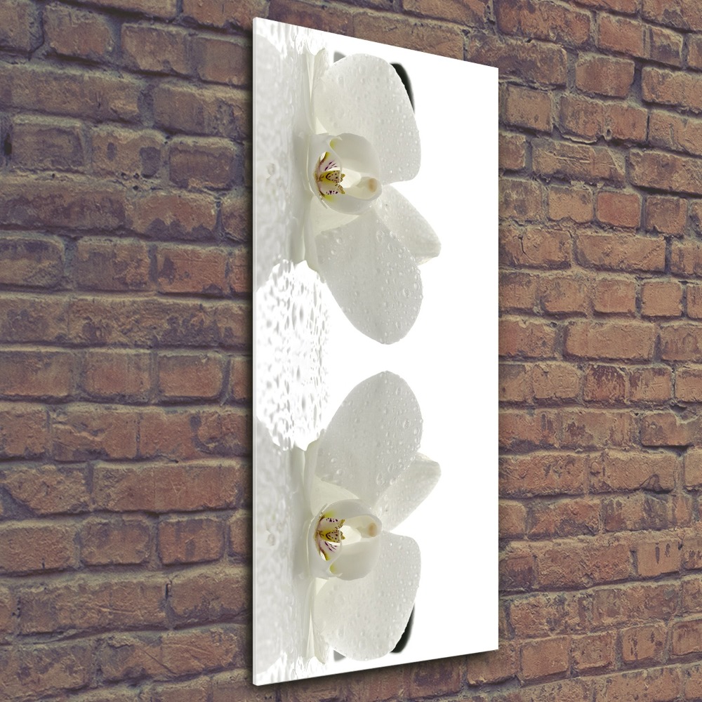 Print on acrylic glass Orchid and stones