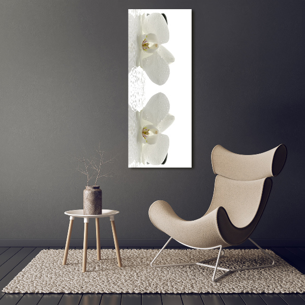 Print on acrylic glass Orchid and stones