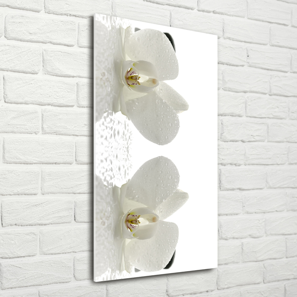 Print on acrylic glass Orchid and stones