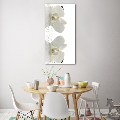 Print on acrylic glass Orchid and stones