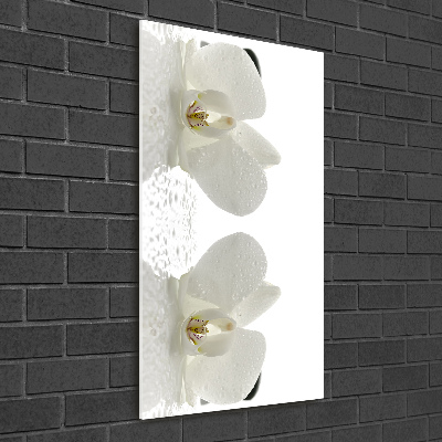 Print on acrylic glass Orchid and stones