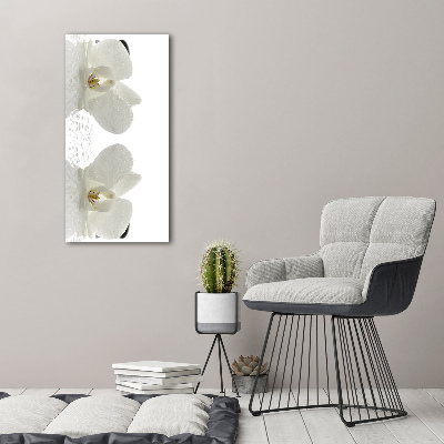 Print on acrylic glass Orchid and stones