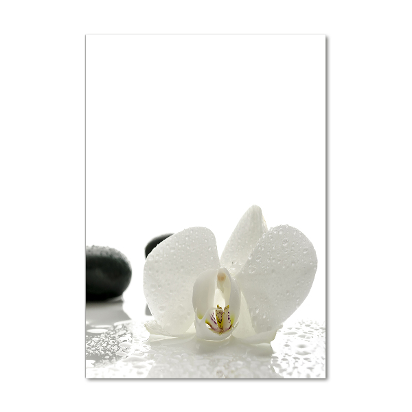 Print on acrylic glass Orchid and stones