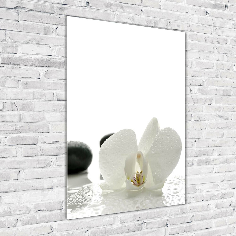 Print on acrylic glass Orchid and stones