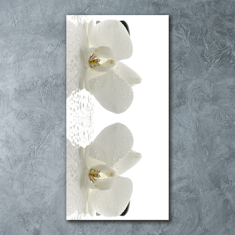 Print on acrylic glass Orchid and stones