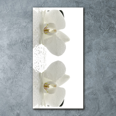 Print on acrylic glass Orchid and stones