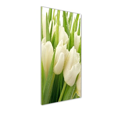 Print on acrylic glass White tulips