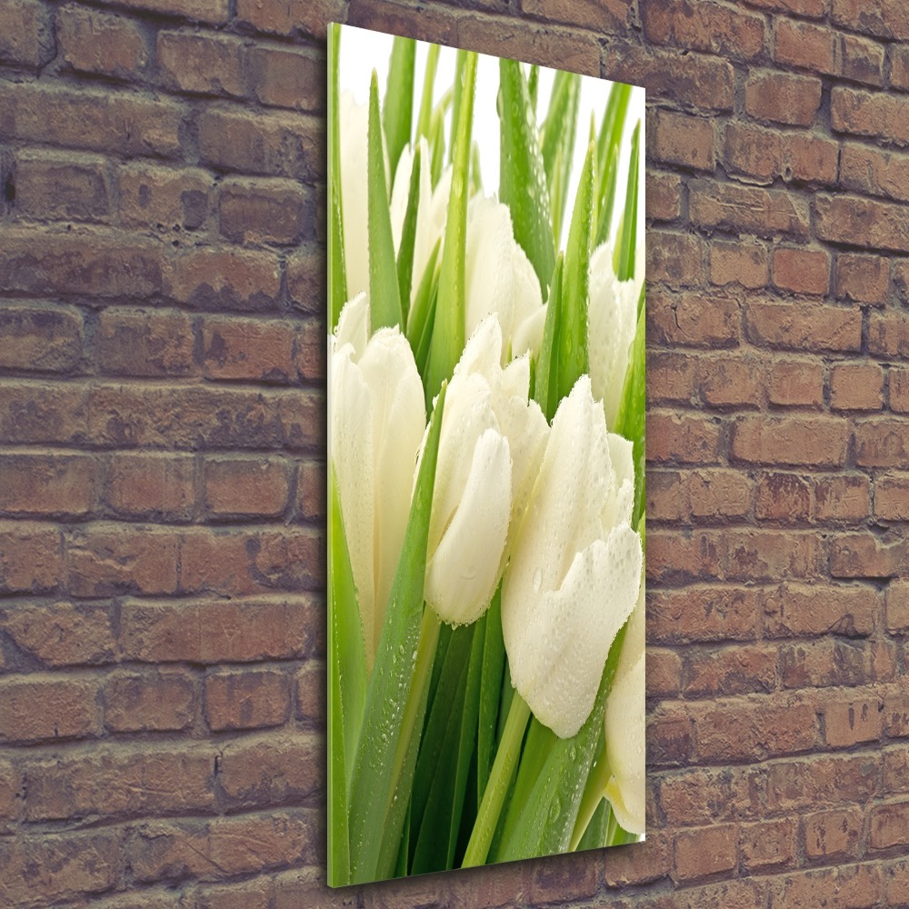 Print on acrylic glass White tulips