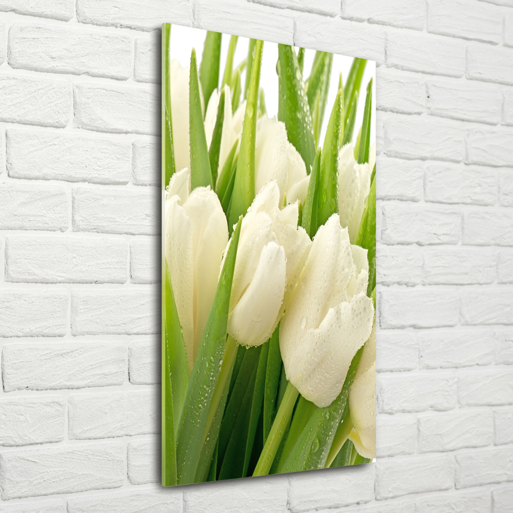 Print on acrylic glass White tulips