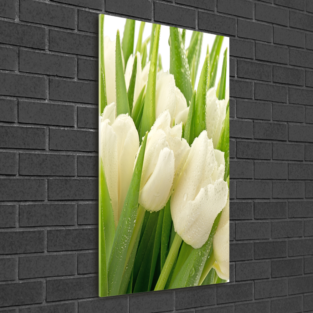 Print on acrylic glass White tulips