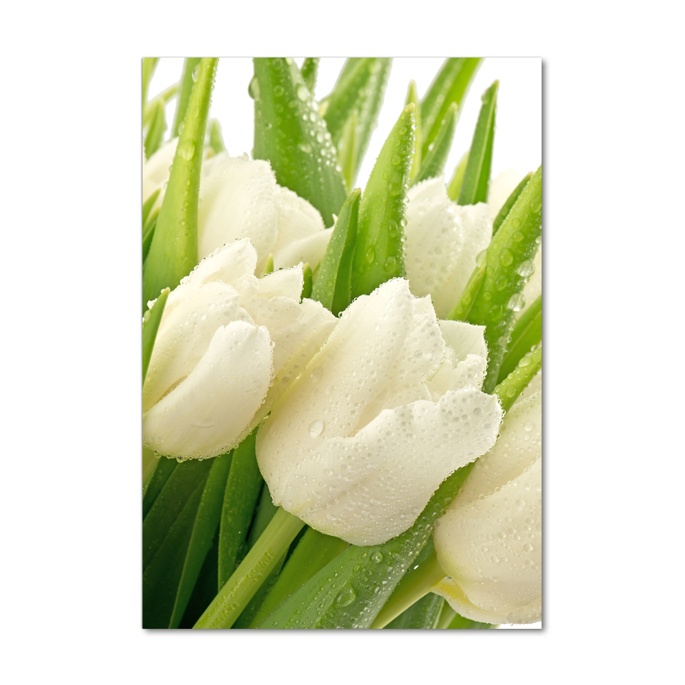 Print on acrylic glass White tulips