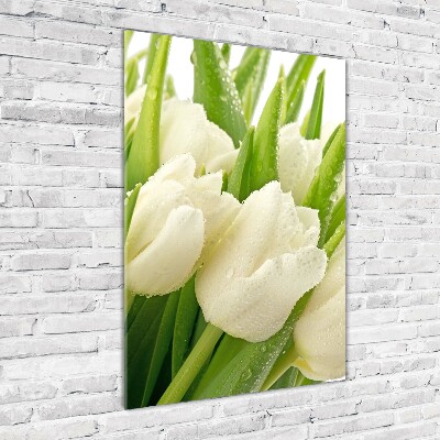 Print on acrylic glass White tulips