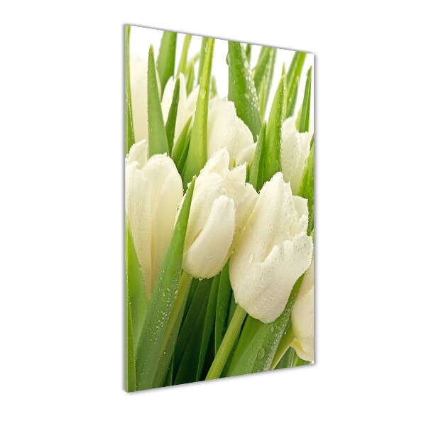 Print on acrylic glass White tulips