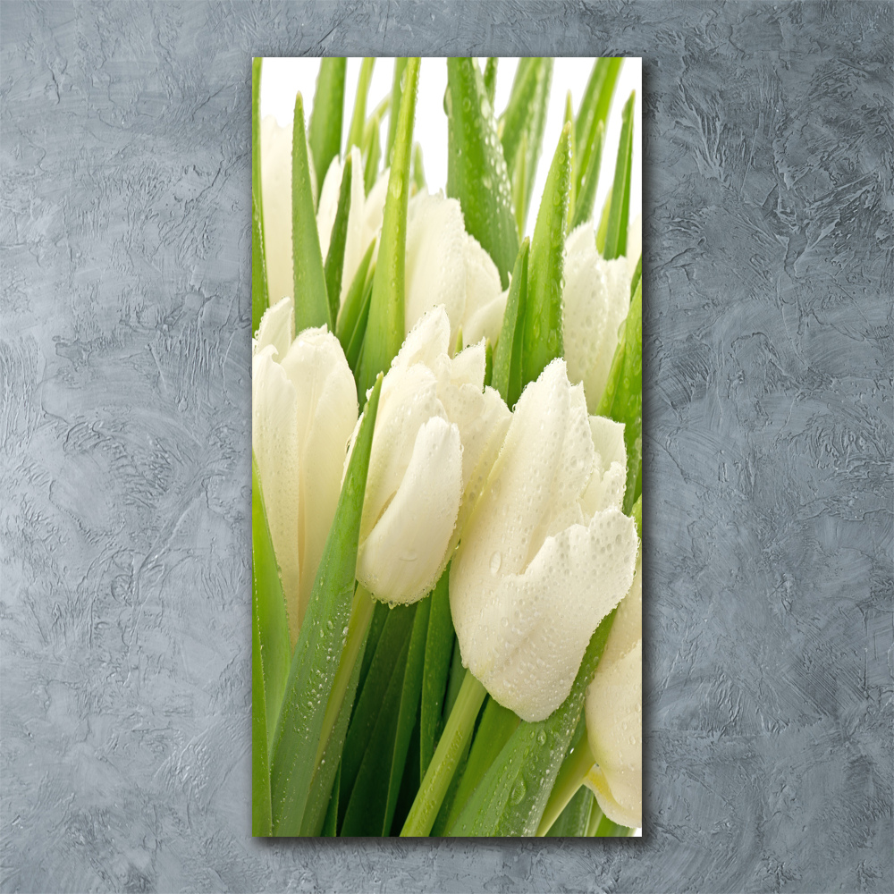 Print on acrylic glass White tulips