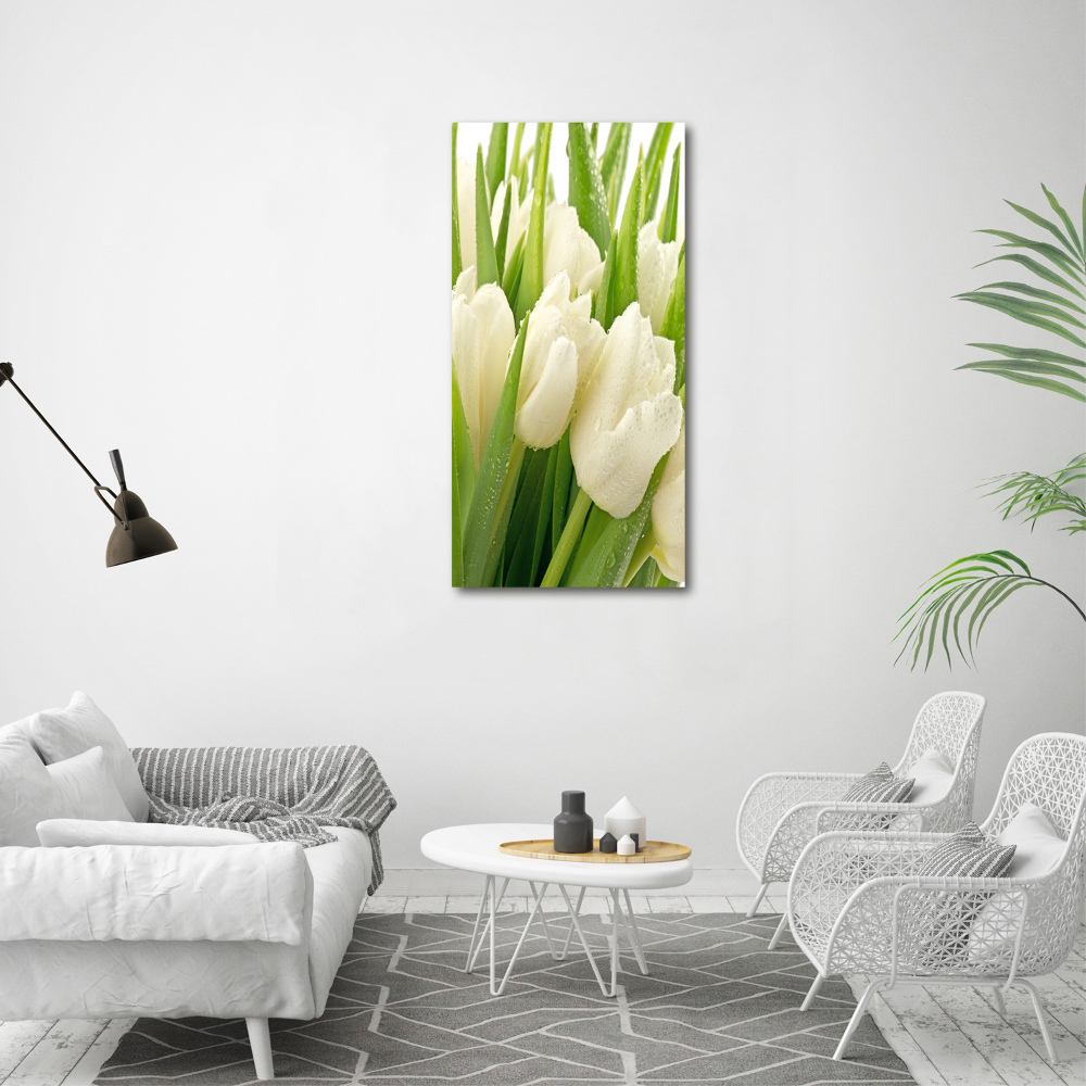 Print on acrylic glass White tulips