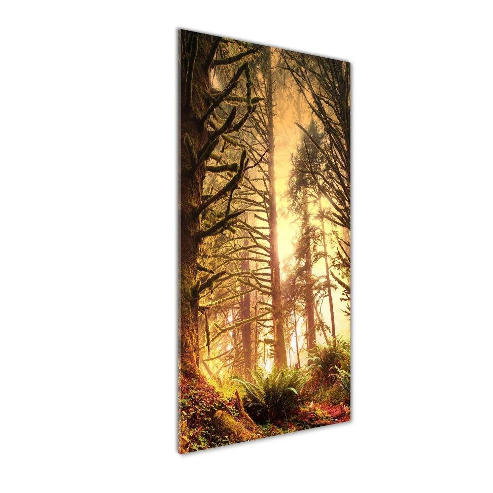 Print on acrylic glass the rainforest