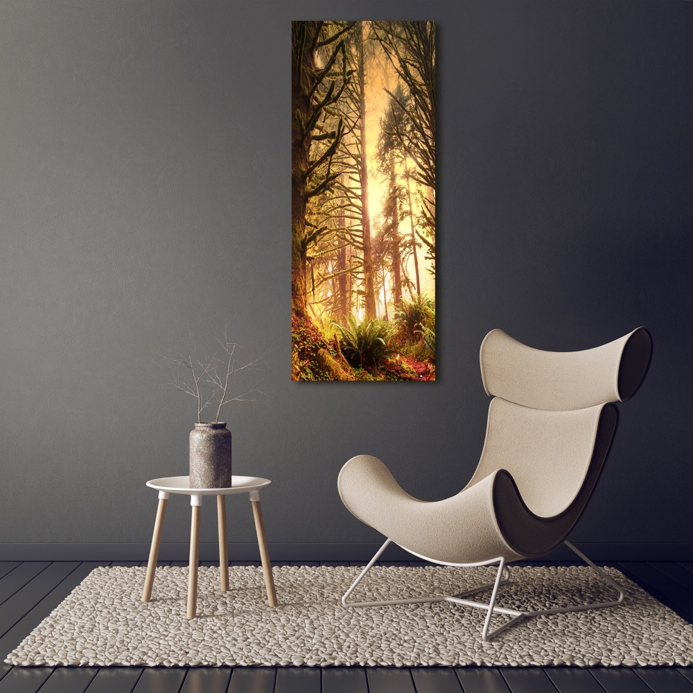 Print on acrylic glass the rainforest