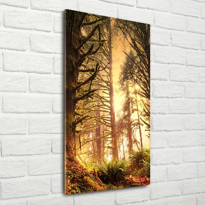 Print on acrylic glass the rainforest