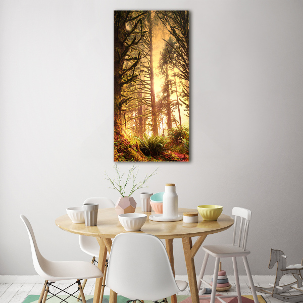 Print on acrylic glass the rainforest