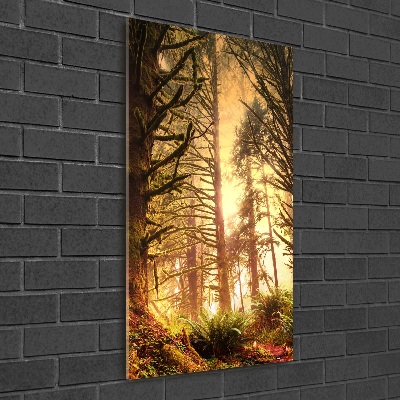 Print on acrylic glass the rainforest