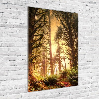 Print on acrylic glass the rainforest