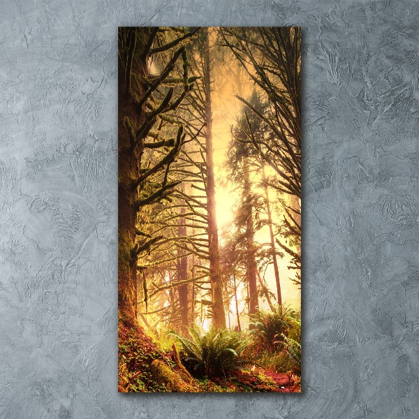 Print on acrylic glass the rainforest