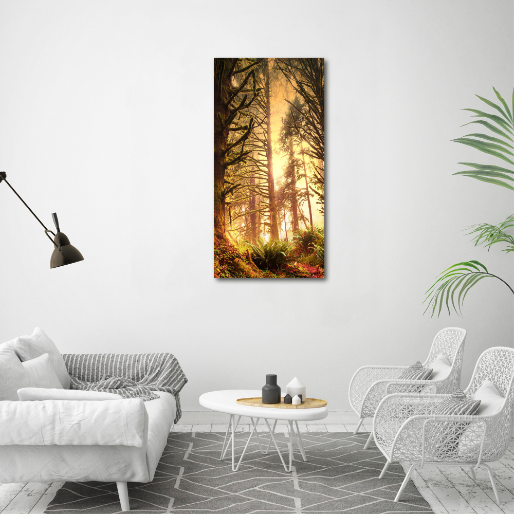 Print on acrylic glass the rainforest